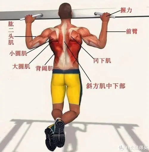 <strong>天博体育官网入口：运动包网球拍怎么选</strong>